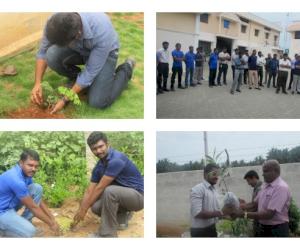 McWane Team Members in Coimbatore, India Celebrate World Environment Day